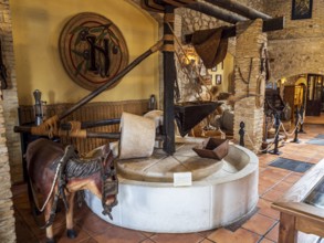 Museo del Aceite, olive oil museum and shop, village Cabra, Andalusia, Spain