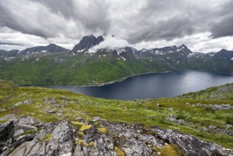 View of Mefjorden fjord from Barden mountain, Breidtind mountain peak behind, Senja, Norway
