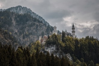 The impressive Neuschwanstein Castle on a dense, wooded hill under a dramatically cloudy sky,
