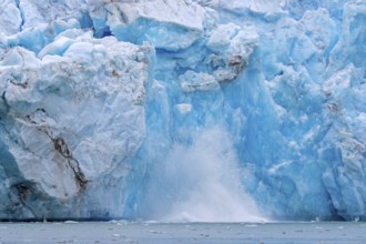 Collapsing ice wall of Fjortende Julibreen, 14th of July Glacier calving into Krossfjorden, Haakon