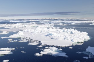 Drift ice, sea ice, sea, Faksevagen, Spitsbergen, Svalbard
