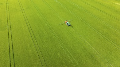 Farmer with tractor working in the field. In early summer, he fertilises the grain for an optimum