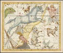 Sign of the zodiac, unicorn, large and small dog, star chart, universe, astrology, horoscope, after