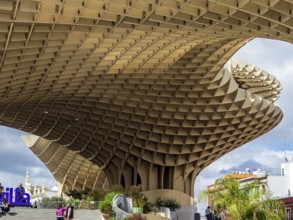 Setas de Seville, mushroom-shaped wooden platform, Seville, Andalusia, Spain