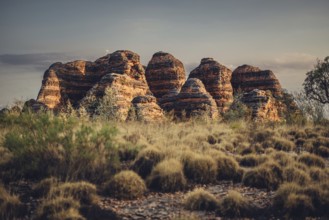 Bungle Bungle Range, Outback, hiking in Australia in high heat, Western Australia, Australia