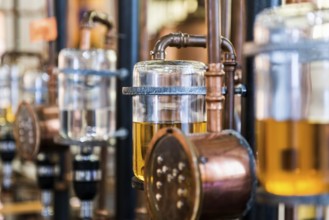 Interior view, Perfumery Molinard, Perfume manufacturer, Grasse, Alpes Maritimes, Provence Alpes