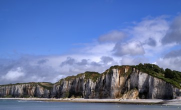 Cliff, cliffs, coastal landscape, rock formation, Yport, chalk cliffs, alabaster coast, La Côte