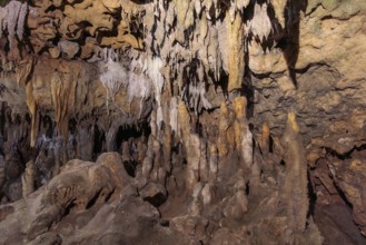 Limestone rock formations in a cave at Florida Caverns State Park in the Florida panhandle near