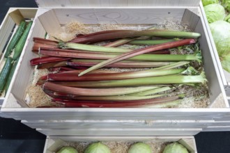 Rhubarb
