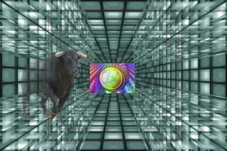 Symbol photo, bull as a sign of recovery, euro new reserve currency, dollar weakness, USA under