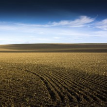 A vast stretch of farmland showcases freshly tilled soil stretching towards the horizon. The sky is