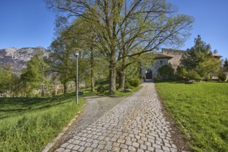 Castle Gruttenstein, mountains, footpath, cobblestones, entrance, trees, lawn, blue sky, cloudless,