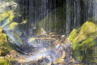 Dietfurt Waterfall, a moss waterfall in the Wutach Gorge, Black Forest, Baden-Württemberg, Germany