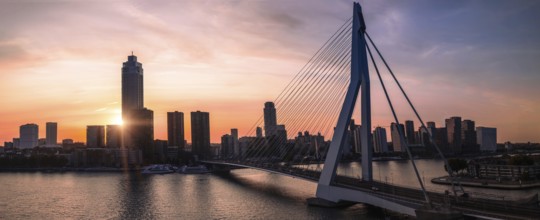 Panoramic view of Erasmus Erasmusbrug bridge in Rotterdam . Financial business district skyline
