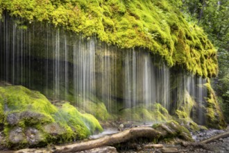 The Dietfurt waterfall, moss and stones, long exposure, Wutach Gorge, Black Forest,