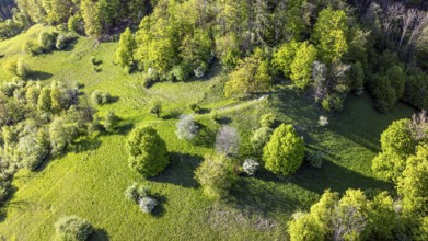 Landscape near Gutenberg, mountains and forest of the Swabian Alb in spring. Lenningen,