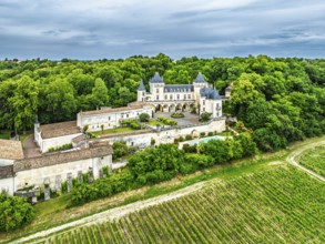 Castle of La Riviere, Vineyard Chateau de La Riviere from a drone, Bordeaux, France