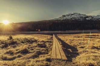 Lake Staz near Sankt Moritz in the Engadin in Switzerland. Morning atmosphere with fog in autumn.