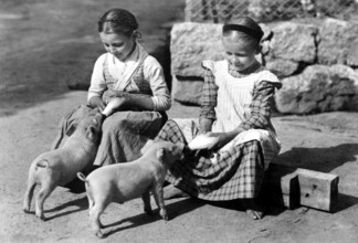 Two hungry piglets and girls, 1930s, Two girls feeding piglets with bottles on a rural road,