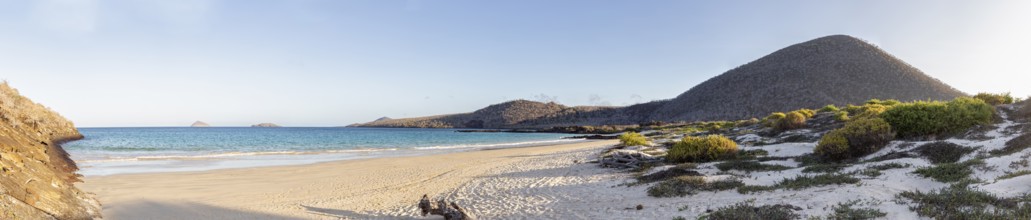 Beach, bay, Cormorant Point, Galapagos, Ecuador