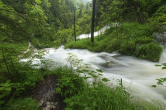 Magical waterfalls in the Weißbachtal valley near Inzell after heavy rain