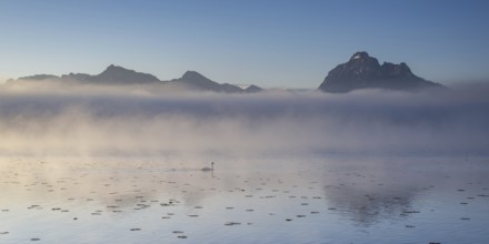 Sunrise at Lake Hopfensee near Füssen, with the Tegelberg massif and the Säuling behind it,