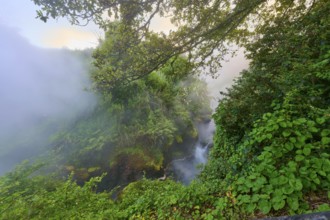 Steaming waterfall surrounded by dense vegetation and a mystical atmosphere, Te Manaroa Spring, hot