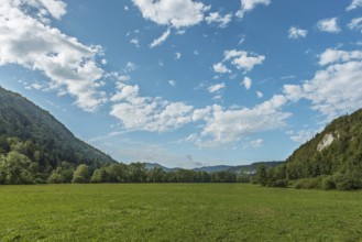 A huge green meadow stretches into the distance, lined with dense forests and rocky hills under a