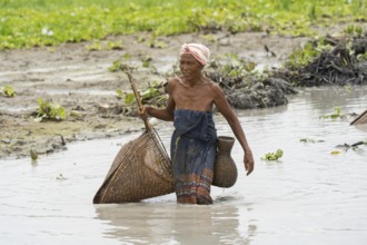 BAKSA, INDIA- JULY 12: Tribal women engage in traditional fishing using Jakoi, a bamboo fishing