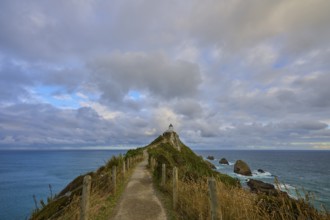 Narrow path to the lighthouse on a cliff with wild sky and sea, summer, Nugget Point lighthouse,