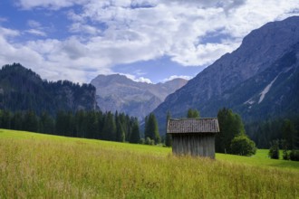 Barn and Prato Piazza meadows, Altpragser Tal, Pragser Tal, Pustertal, South Tyrol, Italy