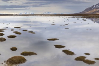Small islands in the meltwater off Tenoren, mountain range, snow, Aventdalen, Longyearbyen,