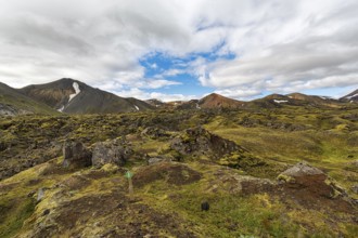 Volcanic landscape, moss-covered lava field, Landmannalaugar, remote hiking area in the Fjallabak
