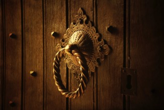A beautifully designed door knocker sits prominently on a weathered wooden door. The warm lighting