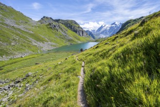 Hiking trail in a picturesque mountain landscape, view of the Lac du Louvie mountain lake and