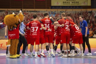 2nd HBL (Handball Bundesliga), Matchday 32: Eulen Ludwigshafen against TuSEM Essen***The Eulen