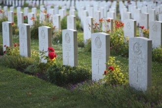 Gravestones, war graves, soldiers' graves, flowers, roses, British and German military cemetery,