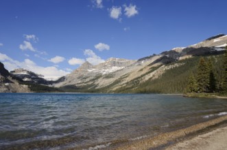 Bow Lake and Bow Glacier, Icefields Parkway, Banff National Park, Alberta, Canada