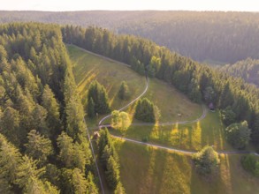 Barren forest landscape with a path along a slope flooded with sunlight, Retro Freizeitpark