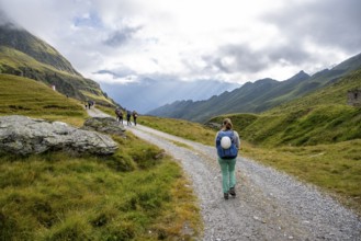 Hiker on a forest path near the Martalm, Lazzacher Tal, Seven Lakes Hike, Stubai Alps, near