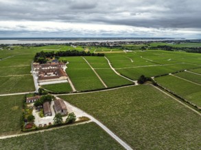 Chateau Pontet-Canet Vineyard and grape fields around Pauillac and Gironde Estuary from a drone,