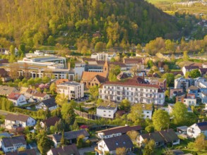 View of a blooming cityscape with various residential buildings and hills, Nagold, Black Forest,