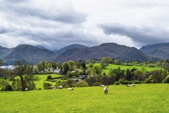 Farms, Ullswater Lake, Lake District National Park, Cumbria, England, United Kingdom