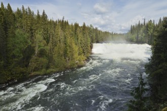 Dawson Falls waterfall, Murtle River, Wells Gray Provincial Park, British Columbia, Canada