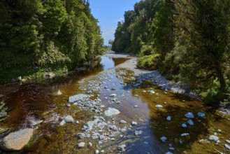 Sunny river course with many stones, framed by lush vegetation, summer, Lake Matheson, Fox Glacier,