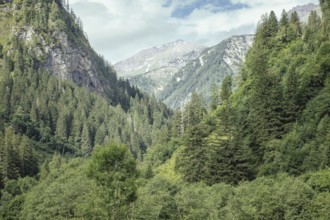 Seidlwinkl Valley, Rauris, Pinzgau, Salzburg, Austria