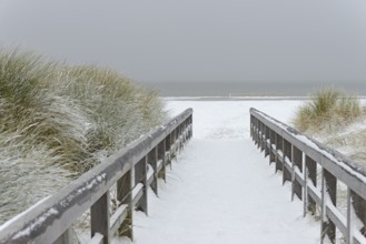 Winter day, onset of winter, wooden plank path leads through the snow-covered dune landscape to the