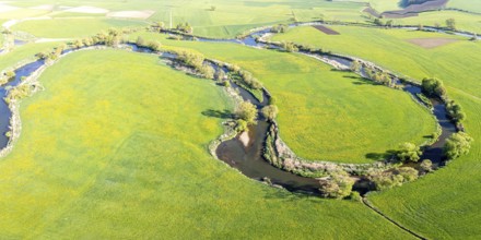 Young Danube river landscape aerial view panorama near Geisingen, Germany