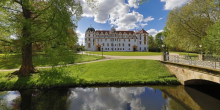 Castle park and Celle Castle, Lower Saxony, Germany