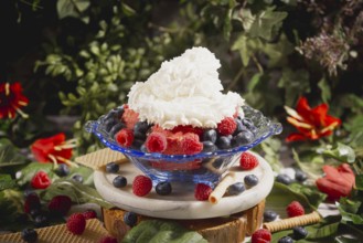 Ice cream sundae with cream, raspberries and blueberries, decoratively arranged, surrounded by